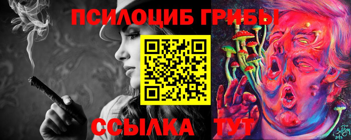 где купить наркотик  Галлюциногенные грибы Cubensis  Псилоцибиновые грибы Cubensis  Вход с VPN  Назрань 