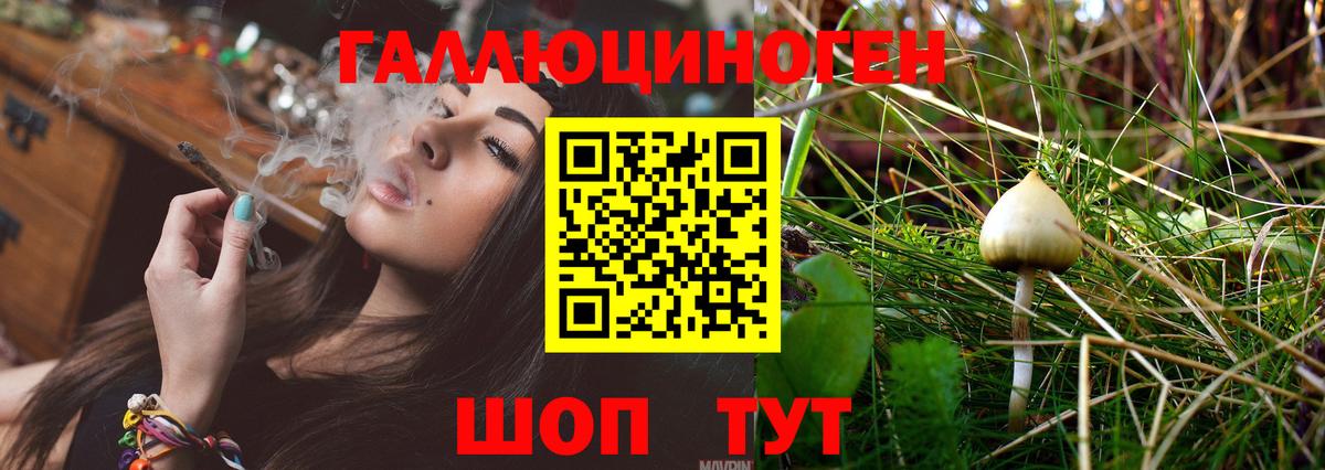 Псилоцибиновые грибы ЛСД Назрань